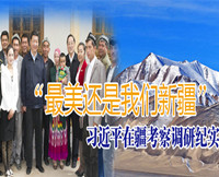 习近平在疆考察调研