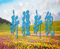 新疆新貌