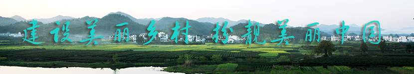 建设美丽乡村 扮靓美丽中国