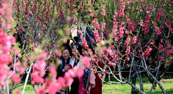 全国各地民众共享明媚春光