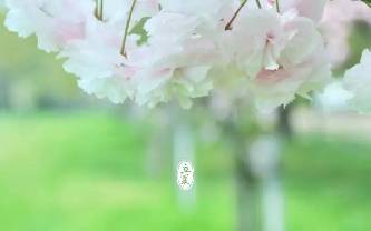 春意闌珊處，立夏款款來