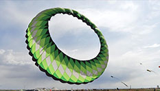 多彩紙鳶飛草原