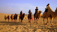 &ldquo;塞上明珠&rdquo;寧夏沙湖吸引遊客