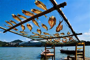 魚幹飄香秋意濃