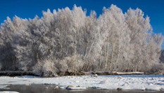 衝乎爾：&ldquo;雪樹銀花&rdquo;童話鎮