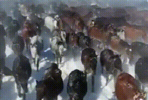 新疆:雪原万马奔腾