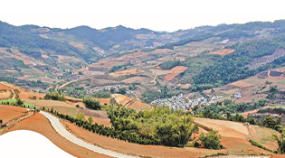 双江:从“想飞”到“先飞”