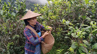 云南省临沧市光荣脱贫户&mdash;&mdash;董红田