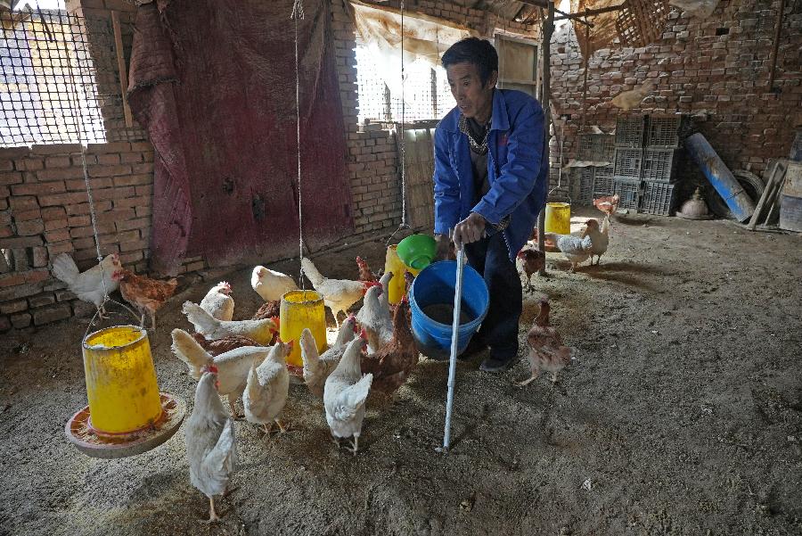 陕西延安：残疾人蜂农的&ldquo;甜蜜&rdquo;事业