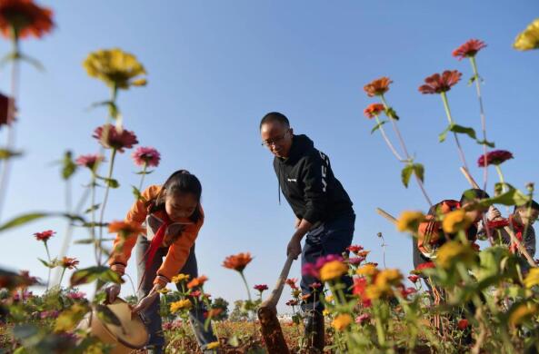 为山里娃种下一片花田