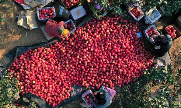 辽宁义县：&ldquo;三变&rdquo;改革&ldquo;变&rdquo;出强村富农新天地