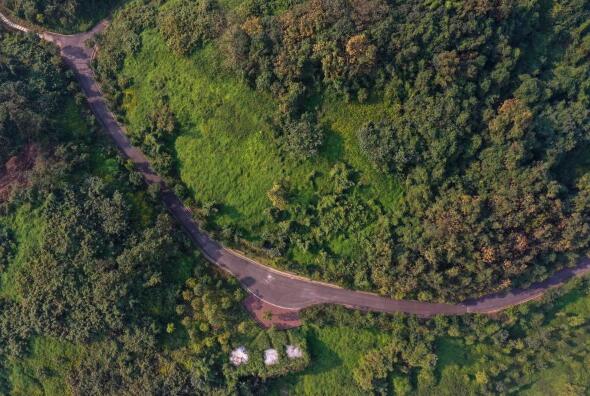 重庆九龙坡：修复矿坑&ldquo;疮疤&rdquo;&nbsp; 绿化美丽家园