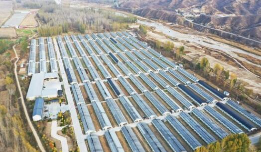 &ldquo;贫中之贫&rdquo;如何&ldquo;黄土生金&rdquo;&mdash;&mdash;从4个家庭看河北阜平之变