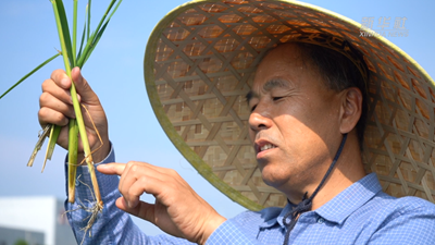 一粒种 一颗&ldquo;芯&rdquo;