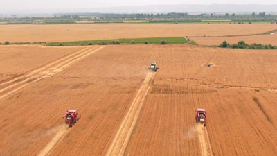 来之不易的好收成&mdash;&mdash;三晋大地稳粮夺丰收新观察