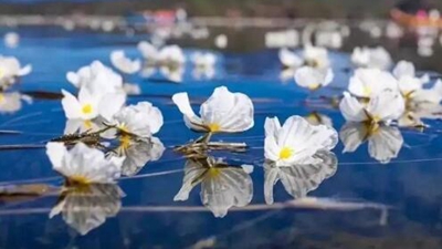 云南生物多样性保护成果显著