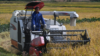 种优质粮&middot;谋深加工&middot;吃旅游饭&mdash;&mdash;安徽乡村产业振兴见闻
