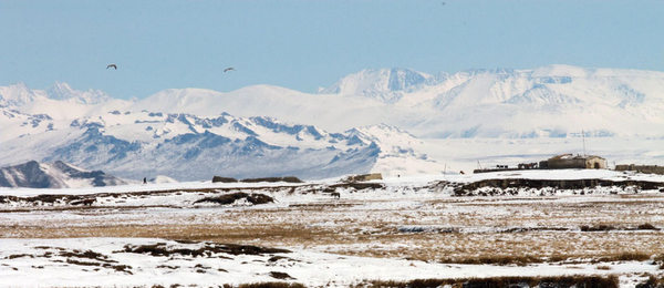 新疆巴音布鲁克湿地春季风光旖旎