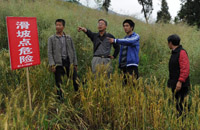 免职乡官杨成毅奔波芦山震灾区一线无怨无悔