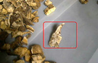 温州高中食堂早餐现老鼠头