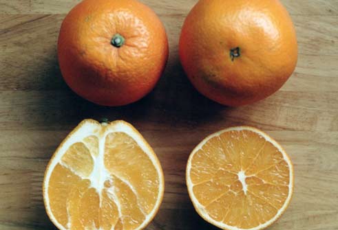 清家脐橙