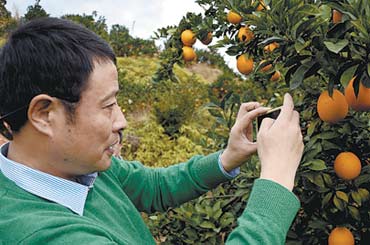 宋英杰走进赣南脐橙园