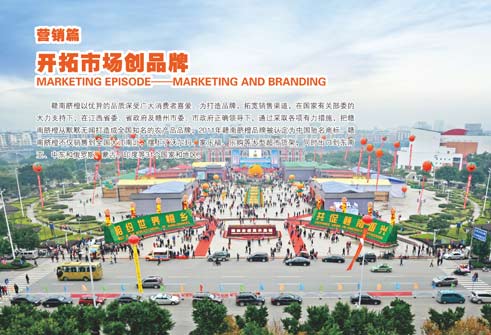 赣南脐橙展——营销篇