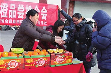 赣南脐橙推介会惠民直销泰安 吸引市民驻足品尝