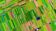 航拍海口農田色彩斑斕猶如馬賽克