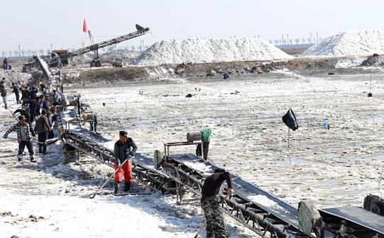 山西運城：鹽湖鏟硝忙