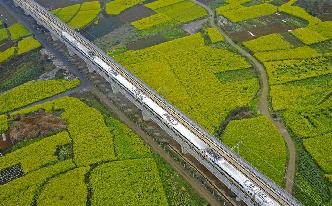 開往春天的高鐵