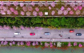 &ldquo;酸雨之都&rdquo;何以变身&ldquo;花海城市&rdquo;？