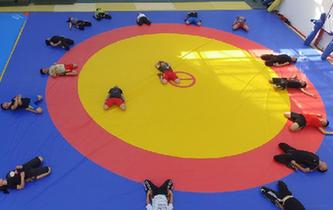 鄉村中學裏的摔跤班