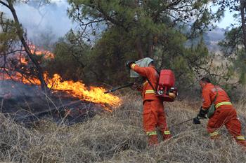 雲南大理森林火災明火撲滅