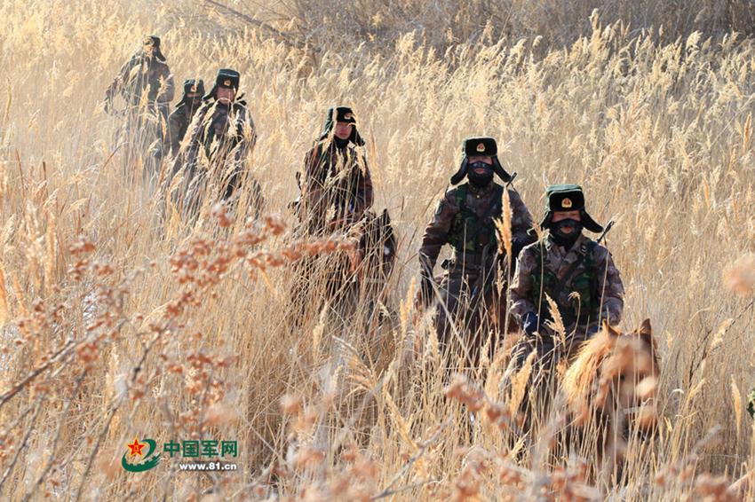 由于边境线上芦苇丛生，给前哨班观察带来极大的不便，新疆军区某团塔克什肯边防连执勤官兵对此段边境线进行逐一排查。特约记者李翔摄