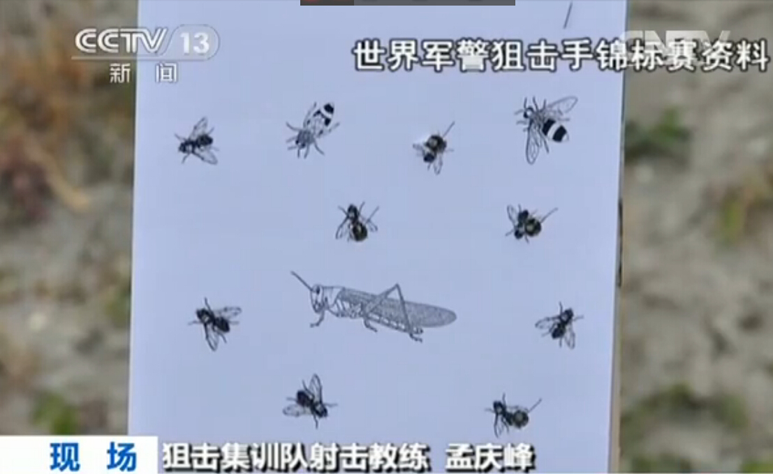 国际狙击手比赛要求100米打苍蝇 猎鹰突击队备战