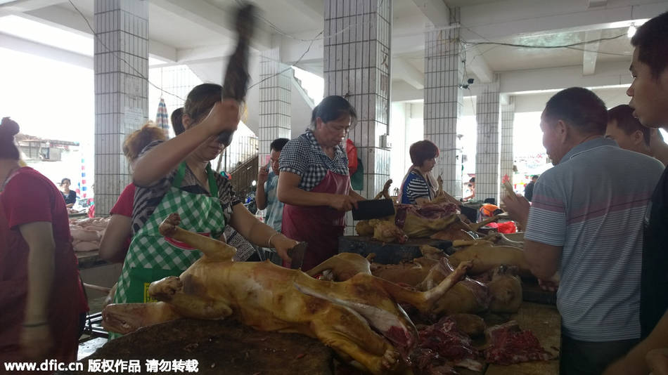 广西玉林&ldquo;狗肉节&rdquo; 武警现场持枪巡逻