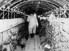 &ldquo;冷战&rdquo;窃听风暴：猫狗成了训练有素的&ldquo;间谍&rdquo;