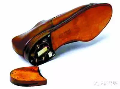 &ldquo;冷战&rdquo;窃听风暴：猫狗成了训练有素的&ldquo;间谍&rdquo;