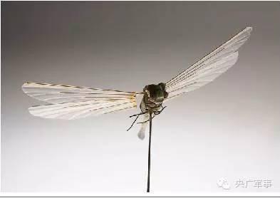 &ldquo;冷战&rdquo;窃听风暴：猫狗成了训练有素的&ldquo;间谍&rdquo;