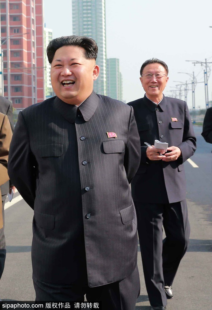 朝鲜劳动党中央政治局委员金养建遇车祸去世