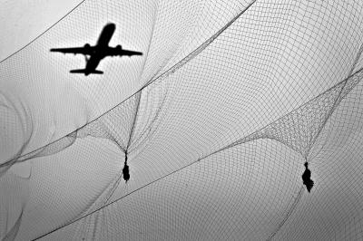 　　飞机跑道两侧的草坪上设置了不少鸟网，以拦住突然从侧面飞进跑道的鸟类。