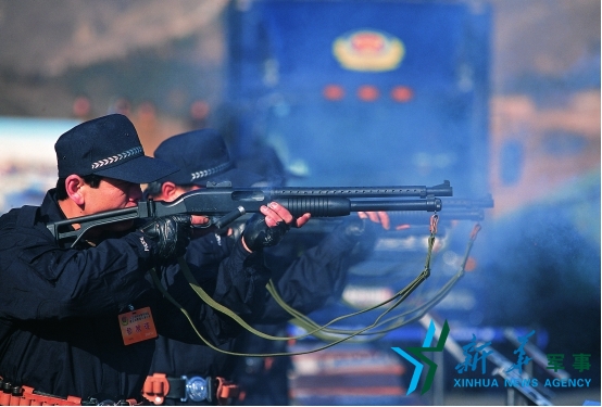 枪迷福利:速来围观国产靓枪