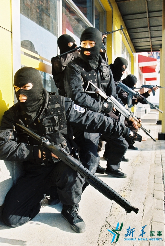 枪迷福利:速来围观国产靓枪