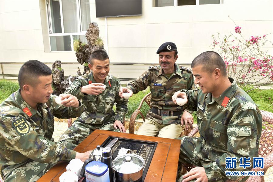 （社会）（1）海拔5100米的休闲小屋