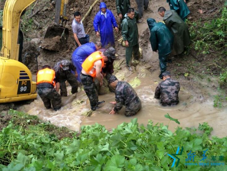 湖北省仙桃市长埫口镇民兵应急分队抢险纪实