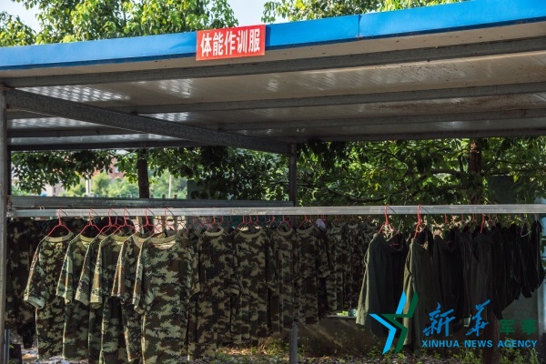 简易实用的晾衣棚。廖振华摄