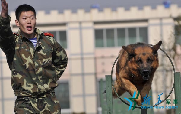 回顾:张楠烈士图片集