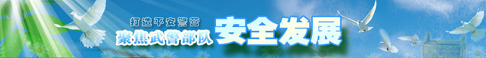 聚焦武警部队安全发展