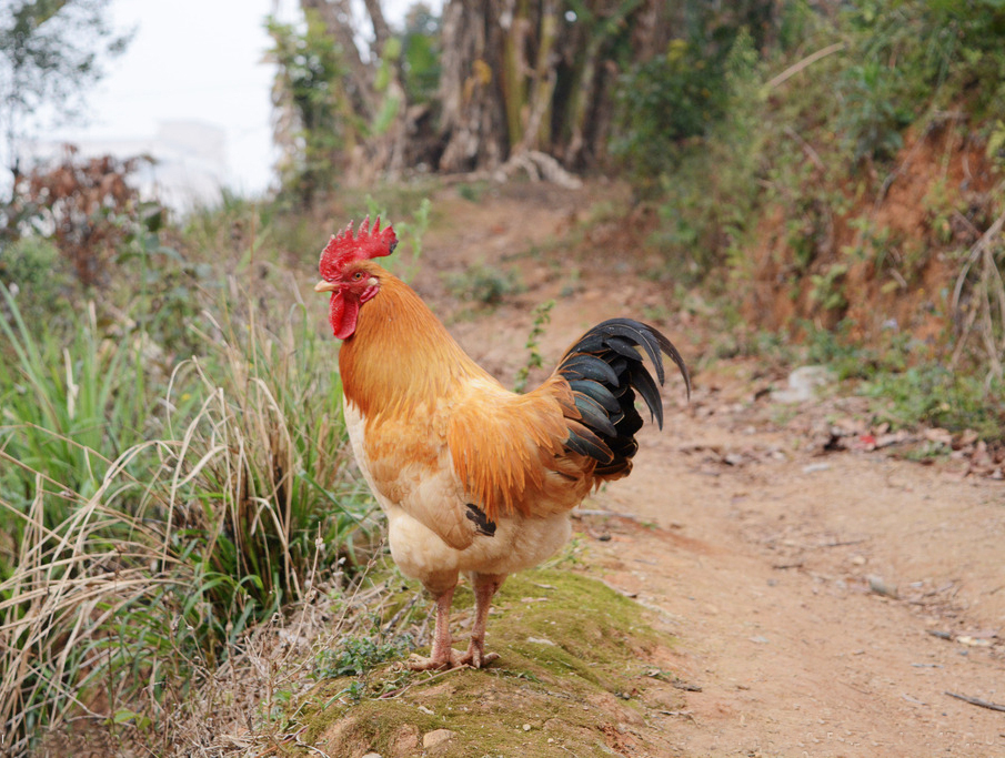 江西&ldquo;菜单式&rdquo;培训